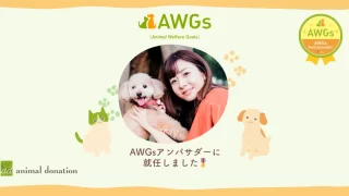 【お知らせ】公益社団法人アニマル・ドネーションのアンバサダーに就任しました